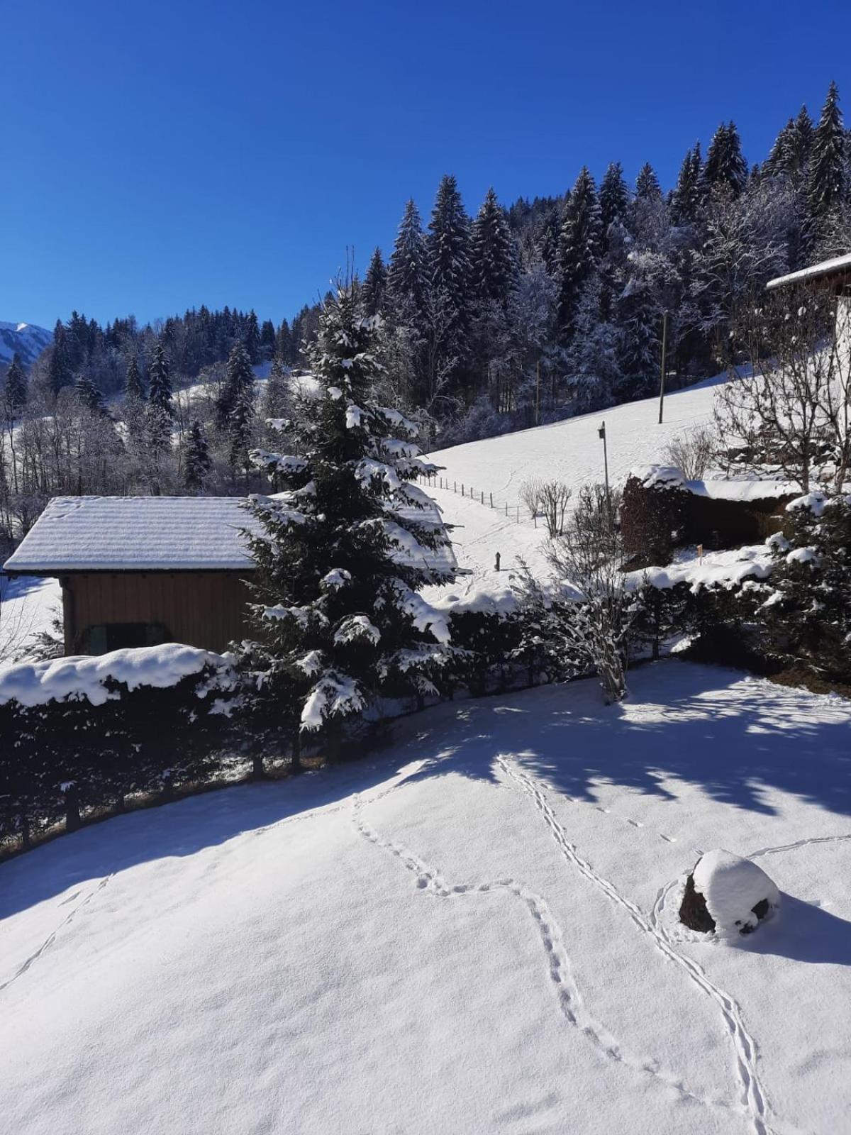 Berghof Mehlan Hotel Fischen im Allgaeu ห้อง รูปภาพ